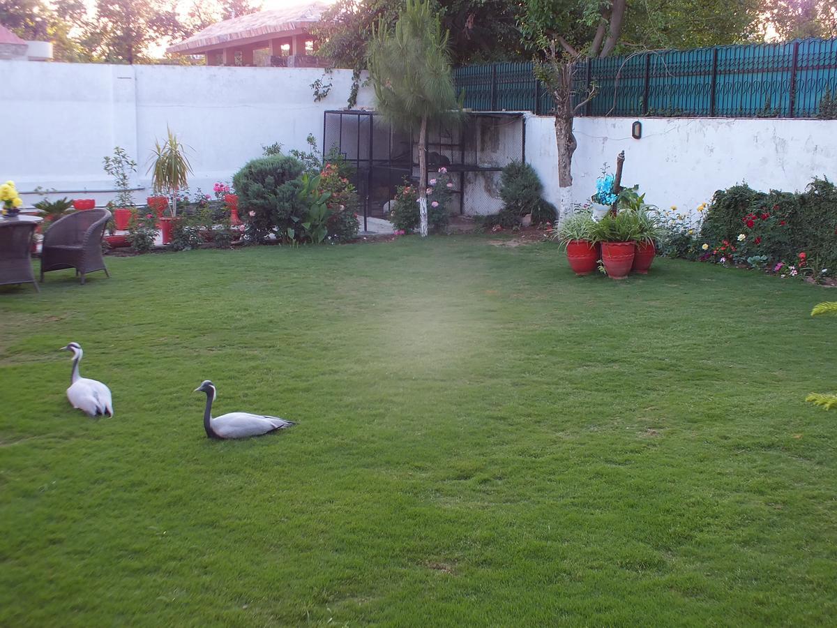 اسلام اباد Capetown Guest House المظهر الخارجي الصورة